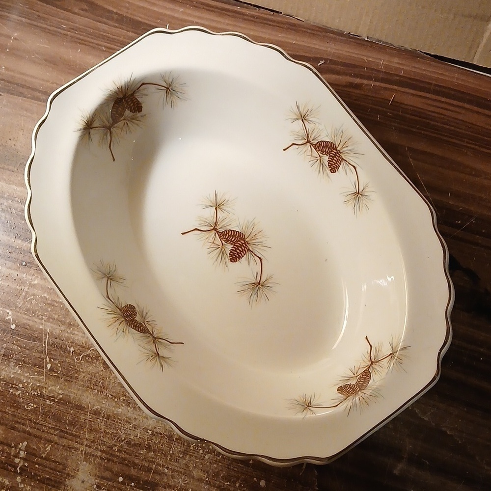 Vintage 1950s W. S. George Pine Cone Bolero Serving Bowl